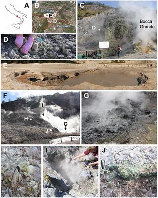 Comparative metagenomics at Solfatara and Pisciarelli hydrothermal systems in Italy reveal that ecological differences across substrates are not ubiquitous